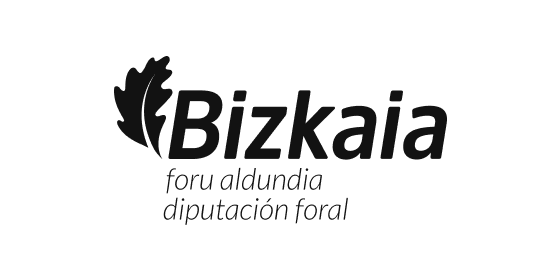 diputacion bizkaia logo
